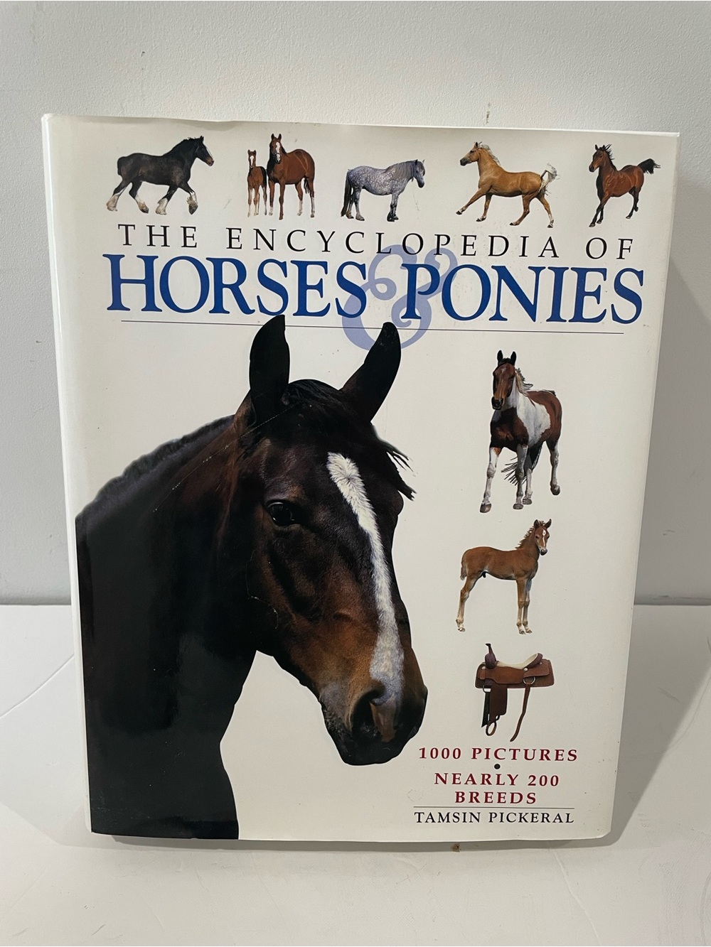 Vintage Encyclopedia of Horses & Ponies HC Book DJ 1000 Pictures 200 Breeds 1999